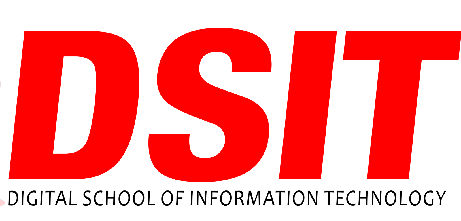 DSIT Logo